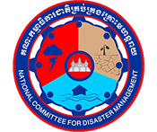 NCFDM